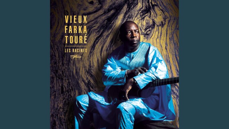 Be Together | Vieux Farka Touré (Song)