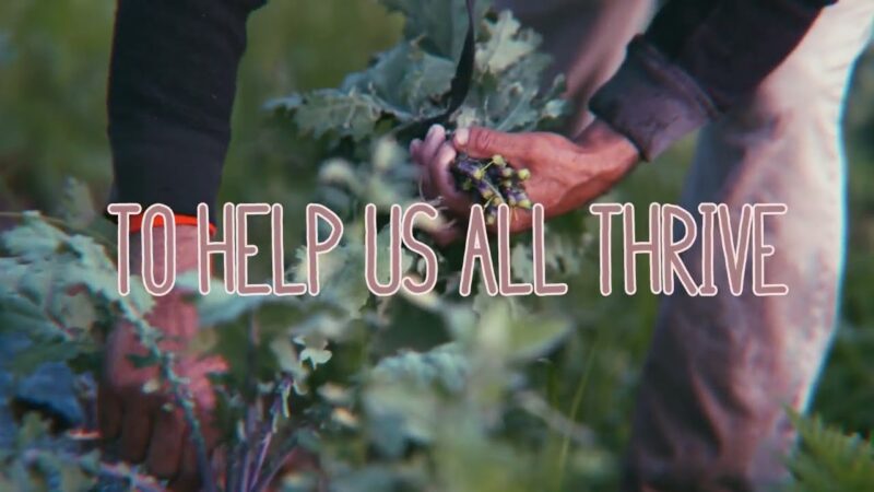 We’re Only Human | Hayes Carll (Song)