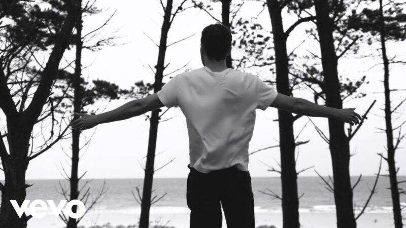 Fading Out | How I Became A Wave (Song)