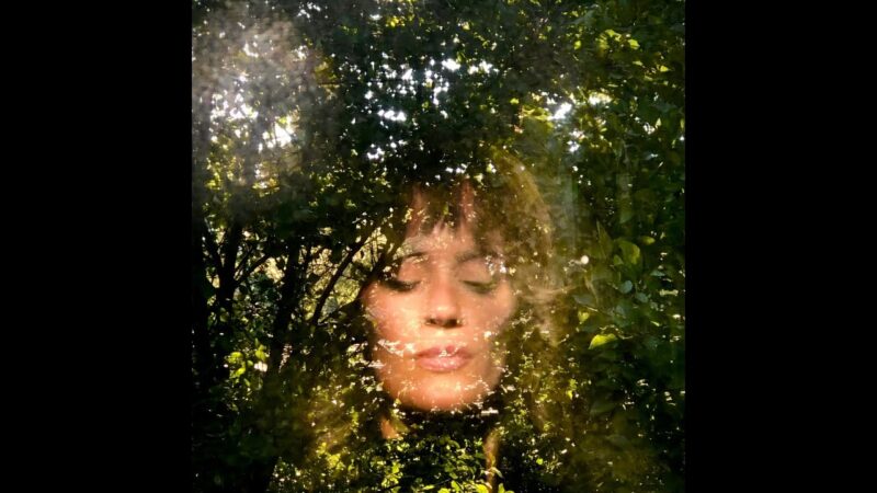 Golden Meadow | Jill Greenlee (Song)