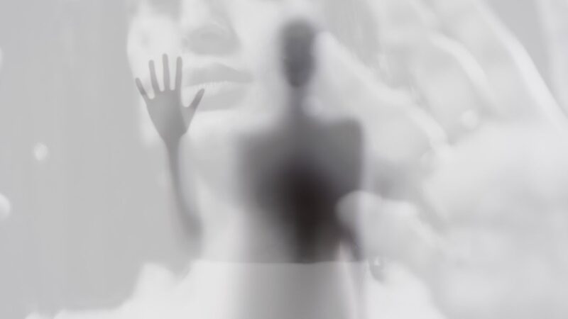 The Fear Of Not Being Wanted | Skybaby Siren, featuring Tiare Helberg (Song)